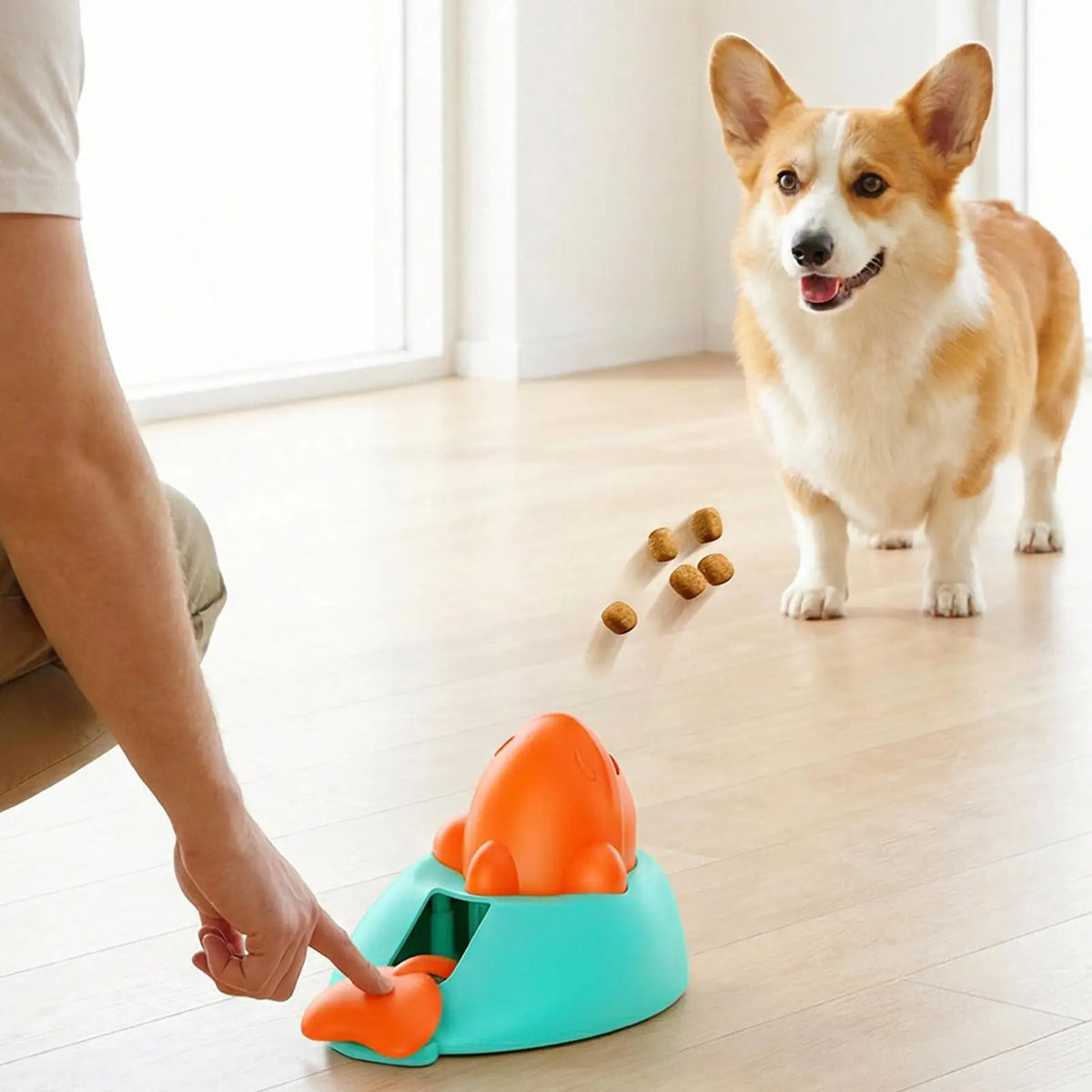 Pet Treat Dispenser  interactive toys