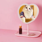 Desktop beauty light mirror