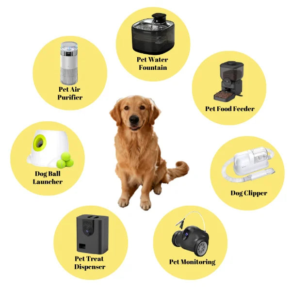 5L Pet Intelligent Feeder